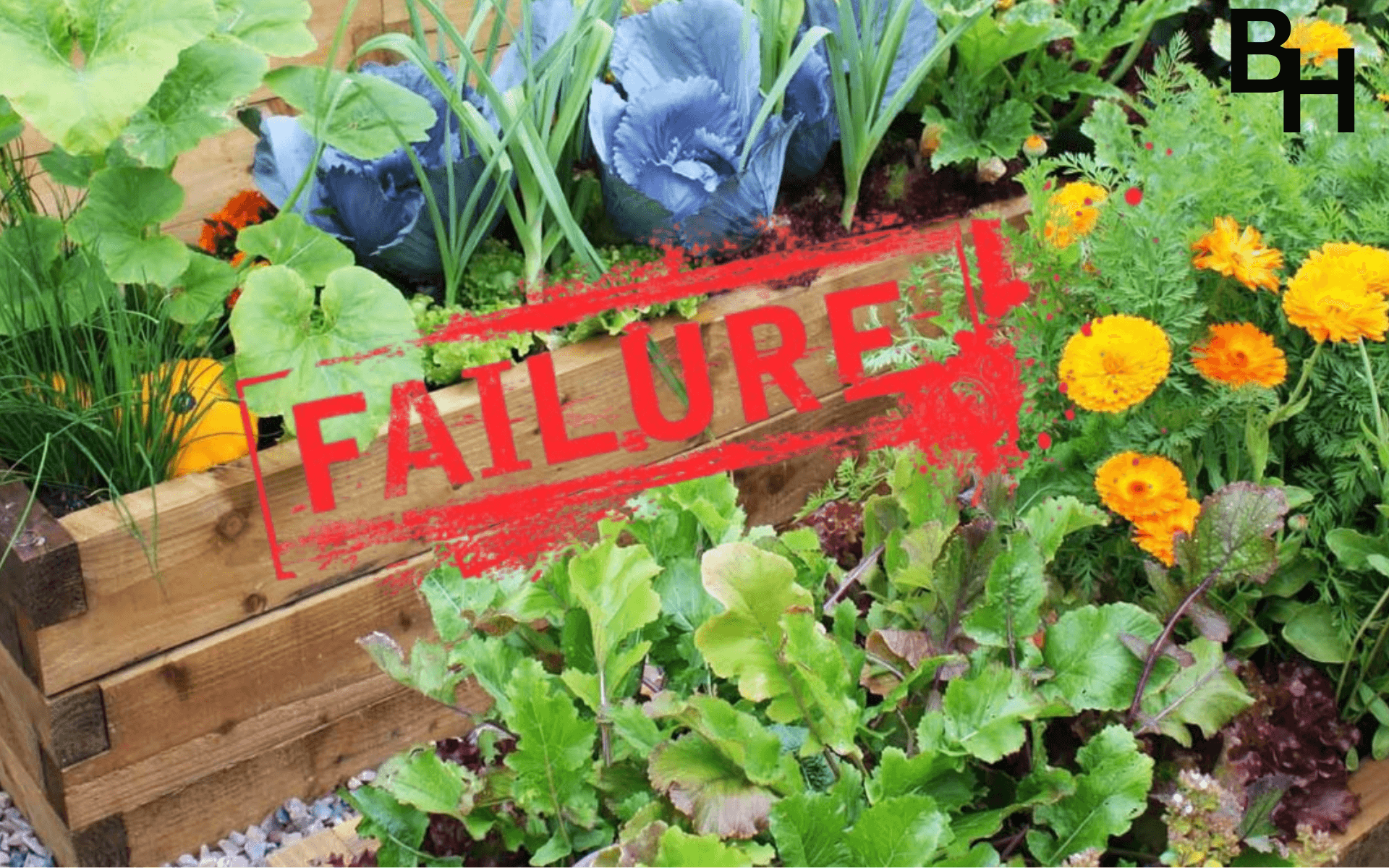 5 things that led to my failure as a gardener