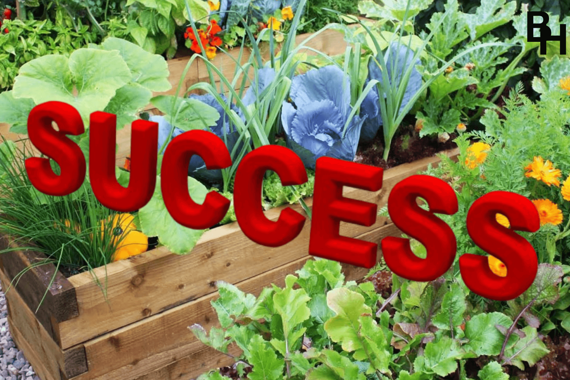 What I think successful gardeners have unsuccessful don’t